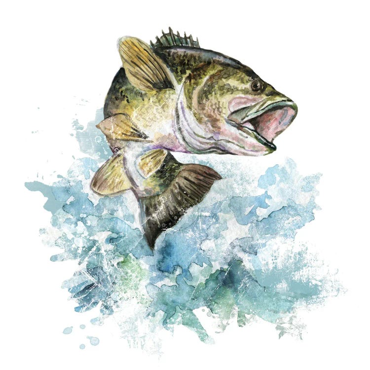 Bass Fishing