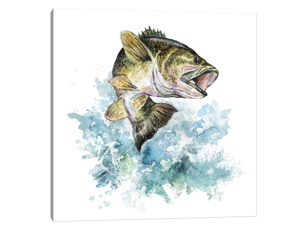 Bass Fishing ( Animals > Sea Life > Fish > Bass art) - 24x24x.25