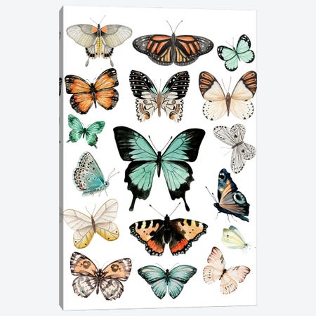Butterflies Canvas Print #EPG191} by Ephrazy Graphics Art Print