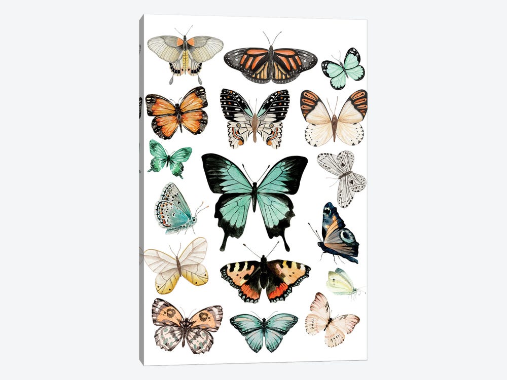 Butterflies by Ephrazy Graphics 1-piece Canvas Art