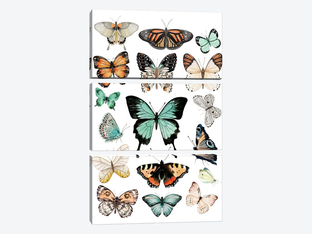 Butterflies by Ephrazy Graphics 3-piece Canvas Art