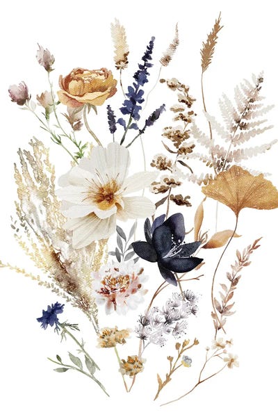 Botanical Illustrations: Navy Cream Flowers by Ephrazy Graphics