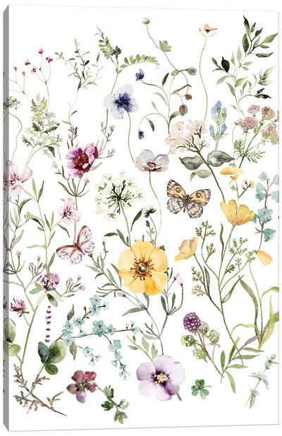 Wild Flowers Canvas Art Print - Botanical Illustrations