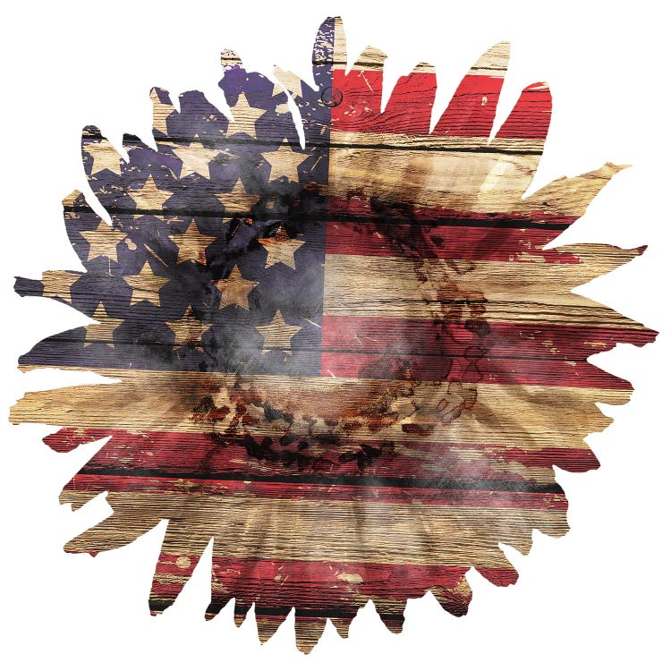 American Flag Sunflower