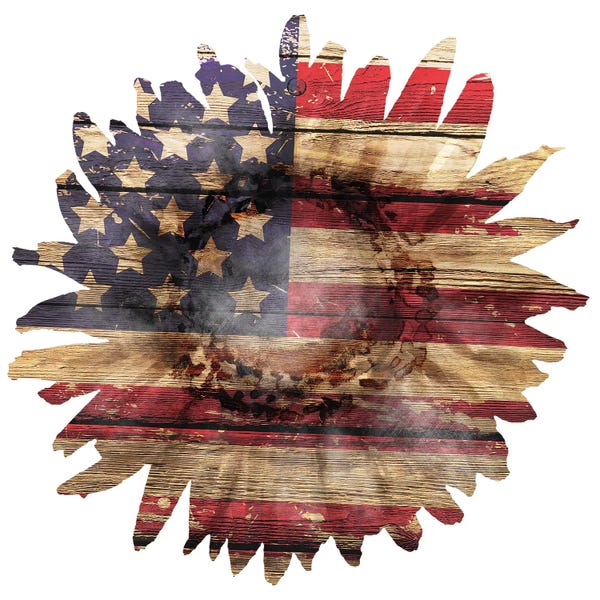 American Décor: American Flag Sunflower by Ephrazy Graphics