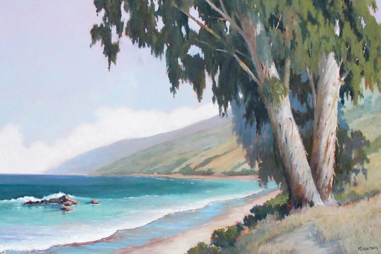 Central California Coast by Ed Penniman wall art