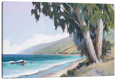 Central California Coast Canvas Art Print