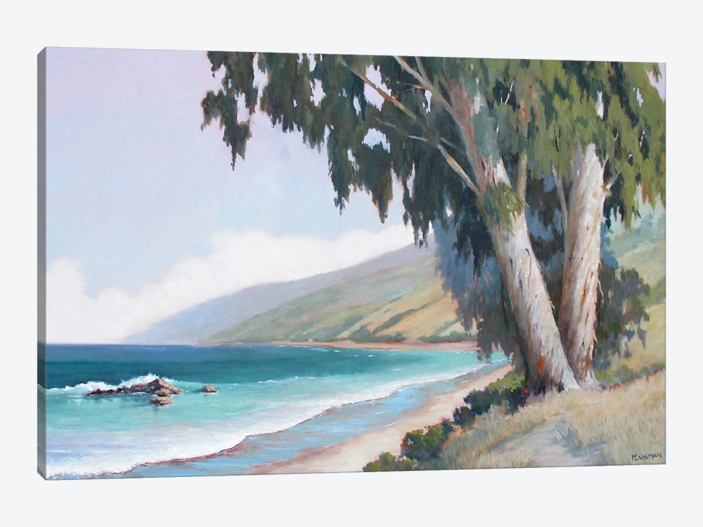 Central California Coast by Ed Penniman 1-piece Art Print