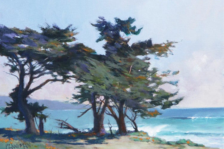 Lighthouse Field II by Ed Penniman wall art