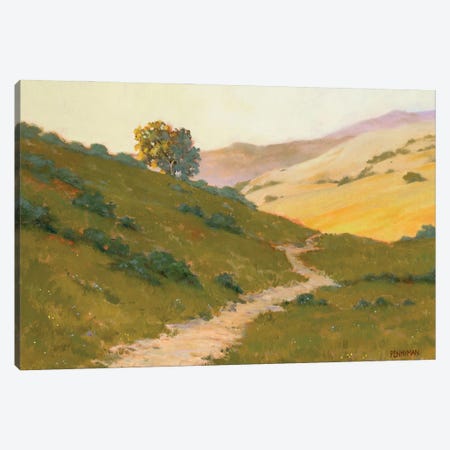 Opalescent Hills Canvas Print #EPN4} by Ed Penniman Canvas Art