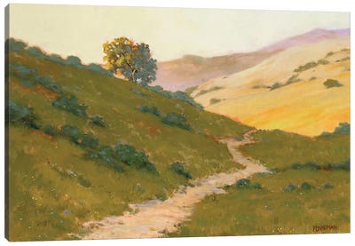 Opalescent Hills Canvas Art Print