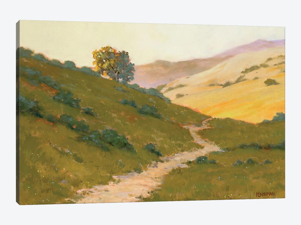 Opalescent Hills by Ed Penniman 1-piece Canvas Art