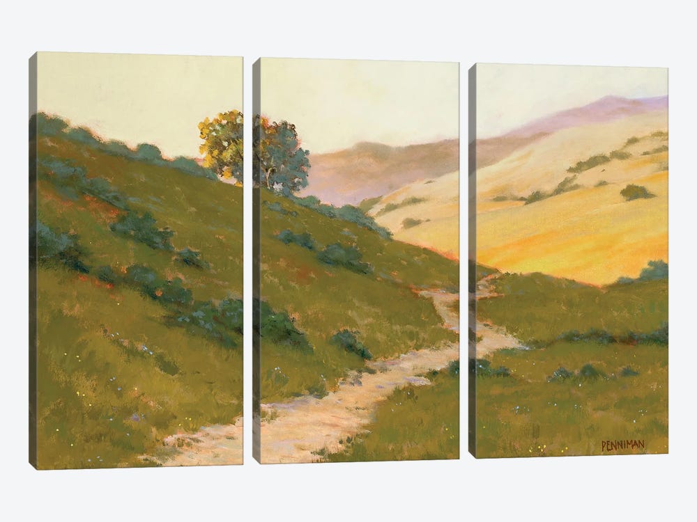 Opalescent Hills by Ed Penniman 3-piece Canvas Art