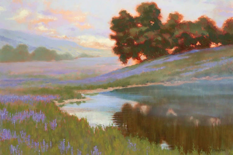 Pastel Lupin by Ed Penniman wall art