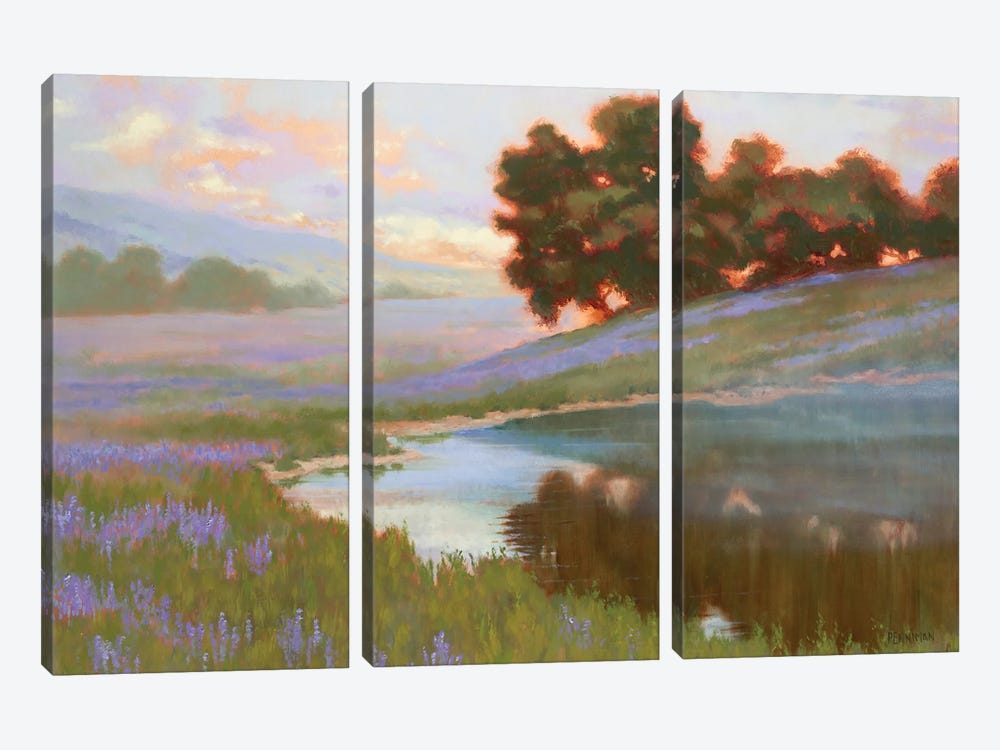 Pastel Lupin by Ed Penniman 3-piece Canvas Print