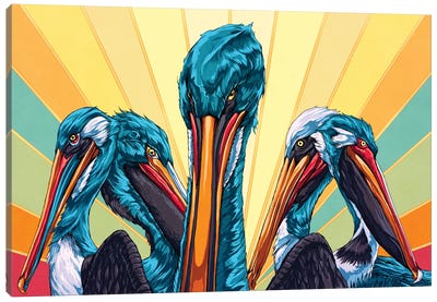 Birds Of A Feather Canvas Art Print - Pelican Art