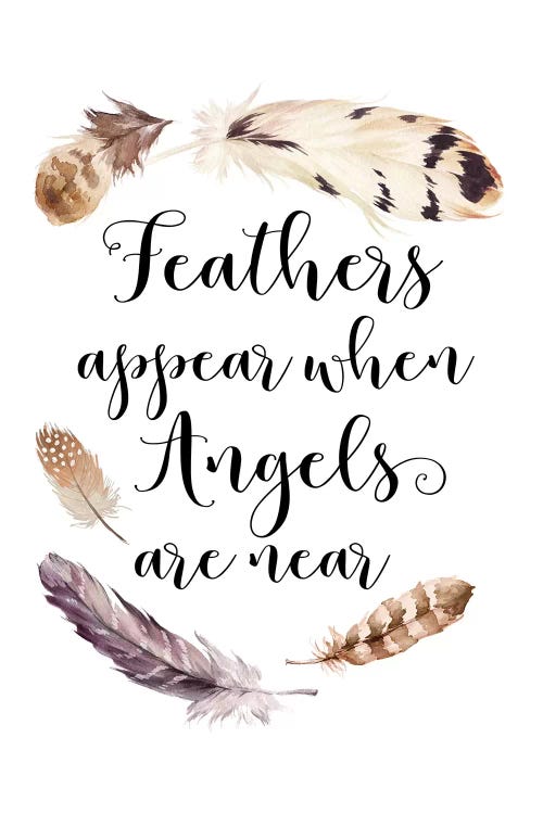 Feathers Appear When Angels Are Near