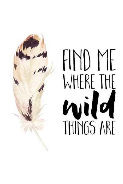 Feathers: Find Me Where The Wild Things Are by Eden Printables