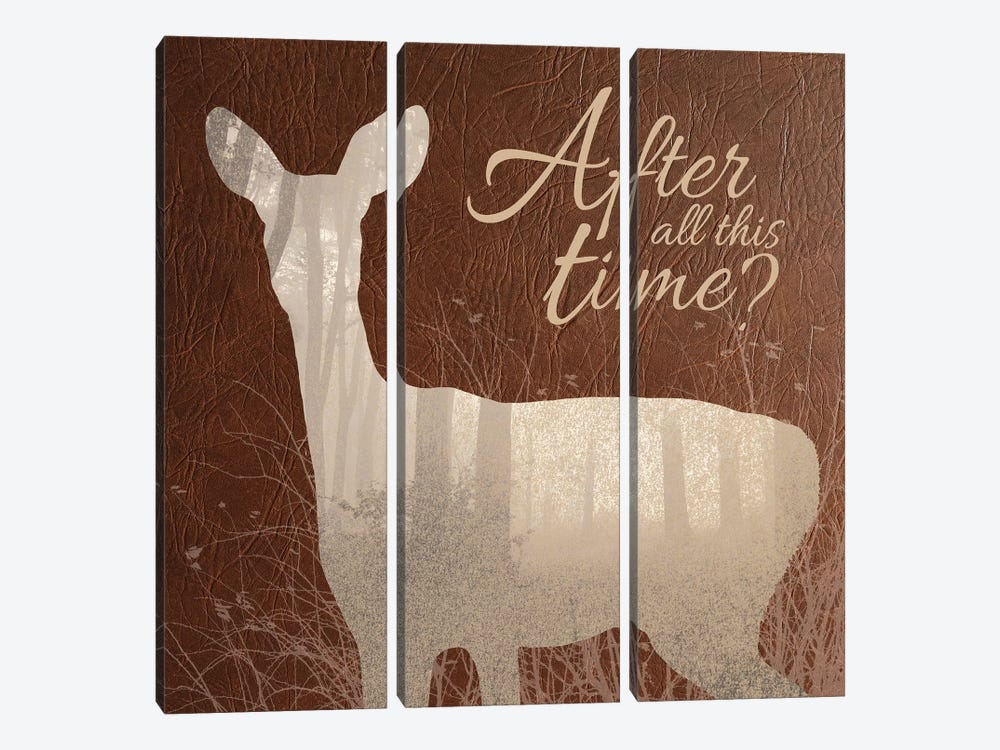 After All This Time by 5by5collective 3-piece Canvas Art Print