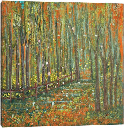 Woods Canvas Art Print