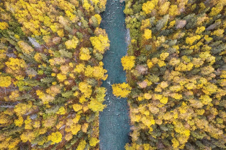 Alaska Autumn From Above