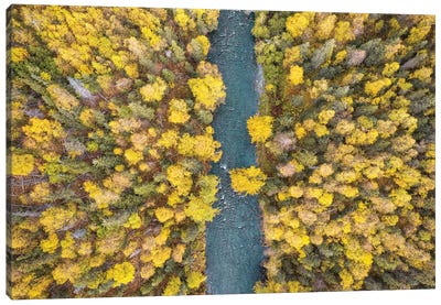 Alaska Autumn From Above Canvas Art Print - Eric Fisher