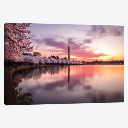Cherry Blossoms Washington Monument Canvas Print #ERF23} by Eric Fisher Canvas Art Print