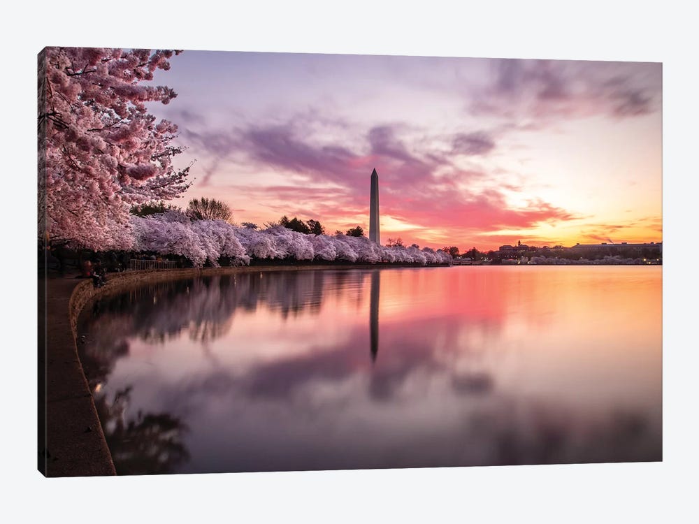 Cherry Blossoms Washington Monument by Eric Fisher 1-piece Canvas Print
