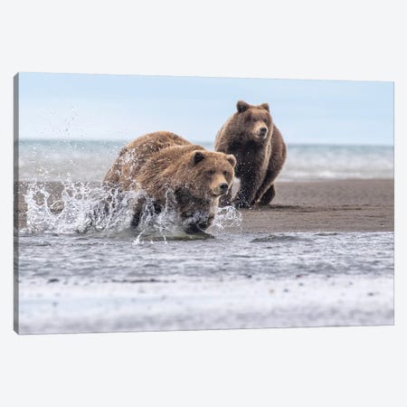 Running Bear Canvas Print #ERF56} by Eric Fisher Canvas Print