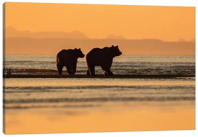 Two Bears On The Beach Canvas Art Print - Grizzly Bear Art