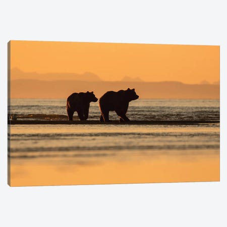 Two Bears On The Beach Canvas Print #ERF59} by Eric Fisher Canvas Art