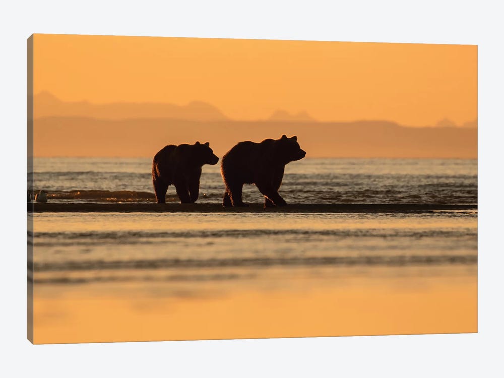 Two Bears On The Beach by Eric Fisher 1-piece Canvas Artwork