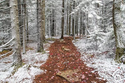 Winter And Fall by Eric Fisher framed wall art