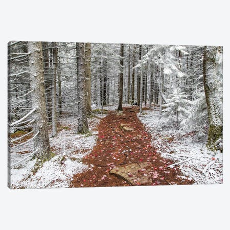 Winter And Fall Canvas Print #ERF64} by Eric Fisher Canvas Artwork