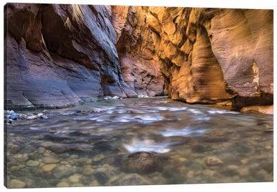 Zion Narrows National Park Canvas Art Print - Eric Fisher