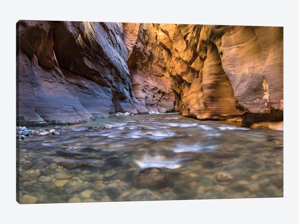Zion Narrows National Park by Eric Fisher 1-piece Canvas Wall Art