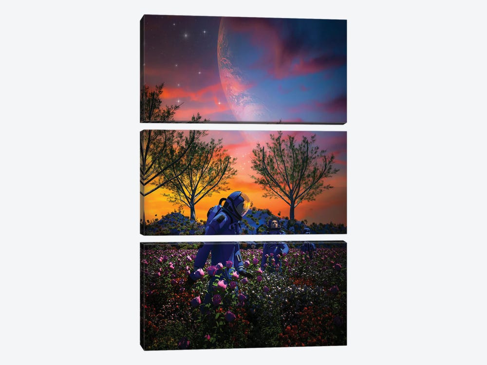 A Beautiful Day by Evan Rhodes 3-piece Canvas Wall Art