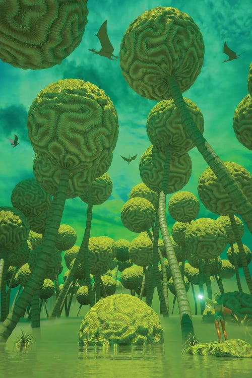 The Coral Forest