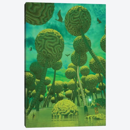 The Coral Forest Canvas Print #ERH58} by Evan Rhodes Canvas Artwork