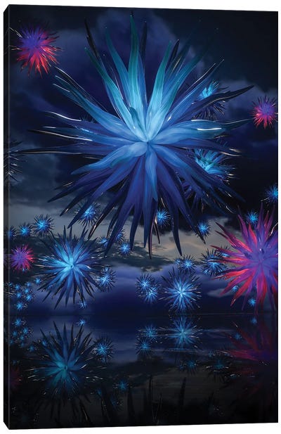Urchins Canvas Art Print - Evan Rhodes