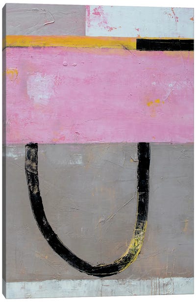Catch A Glimpse Canvas Art Print - Gray & Pink Art