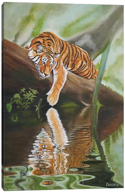 Tiger Canvas Art Print - Evgeniya Roslik
