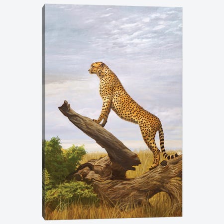 Cheetah Canvas Print #ERL37} by Evgeniya Roslik Art Print