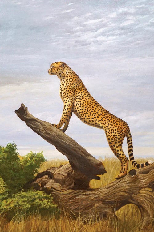 Cheetah by Evgeniya Roslik wall art