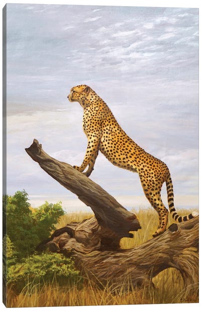 Cheetah Canvas Art Print - Evgeniya Roslik