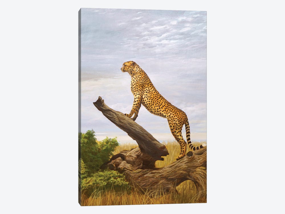 Cheetah by Evgeniya Roslik 1-piece Canvas Artwork