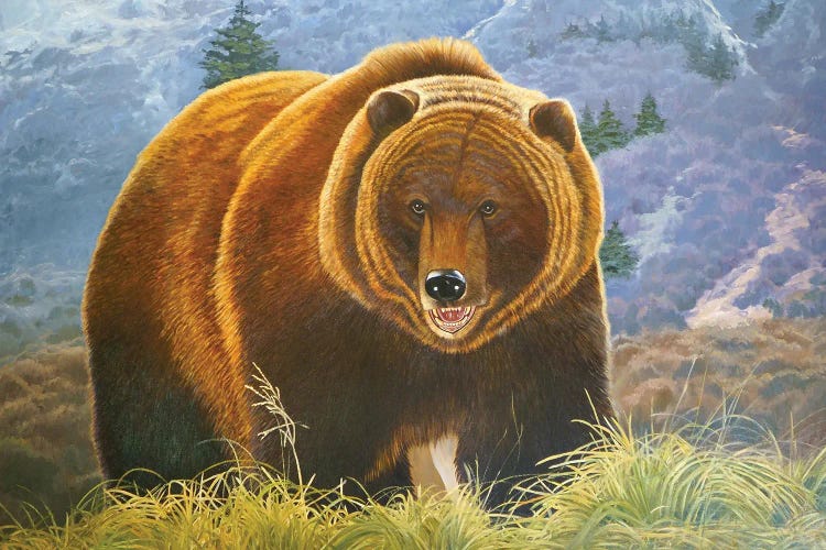 Brown Bear