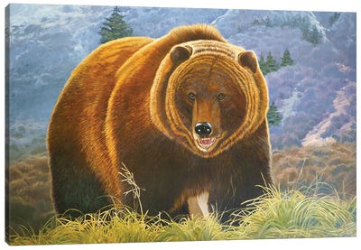 Brown Bear Canvas Art Print - Evgeniya Roslik