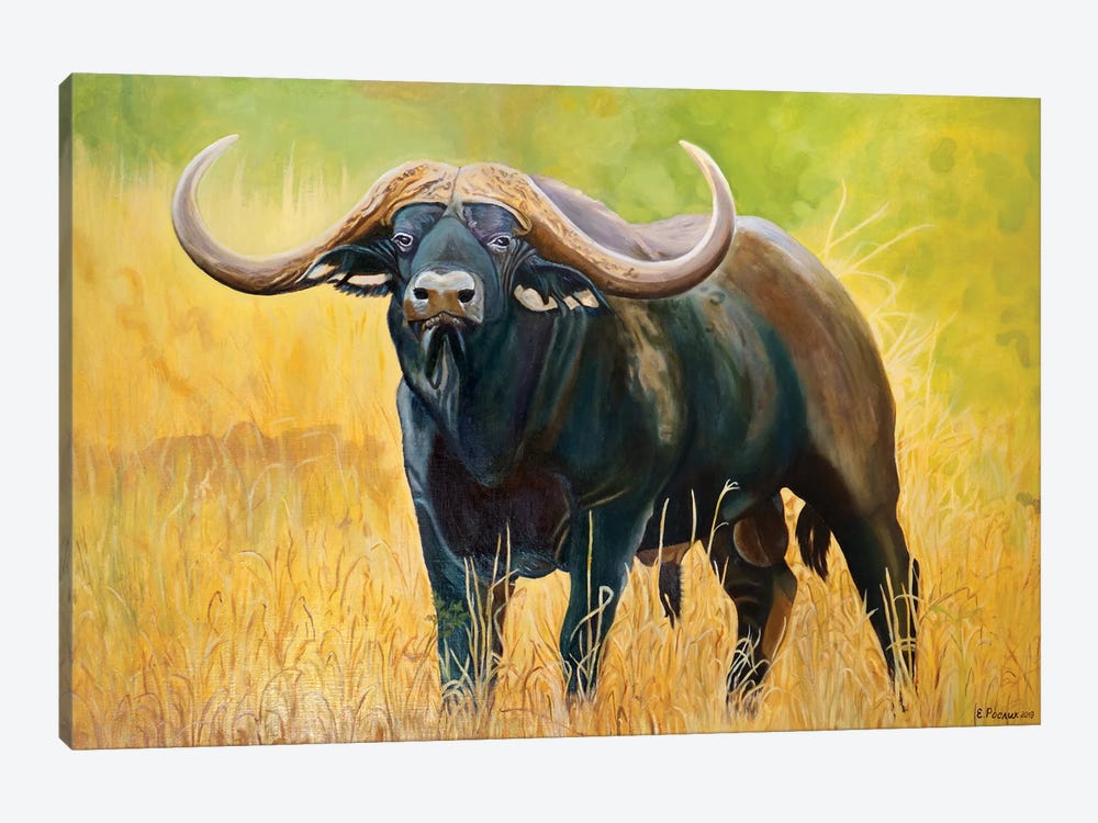 Buffalo by Evgeniya Roslik 1-piece Art Print