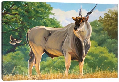 Eland Canvas Art Print - Antelope Art